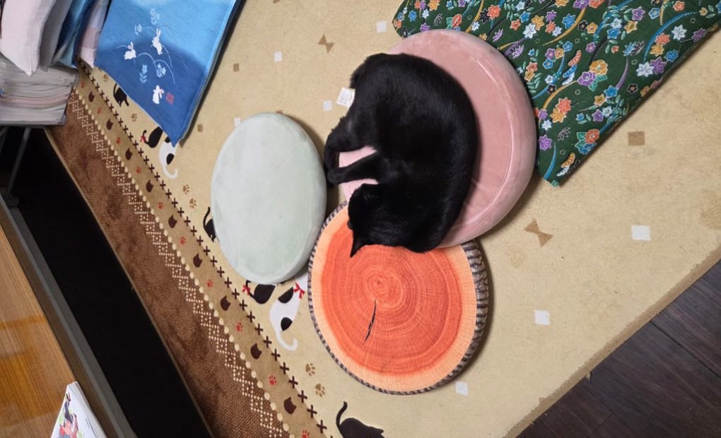 学研赤羽台3丁目教室の画像