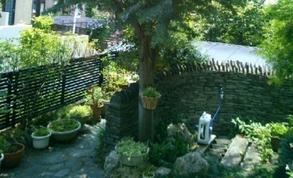 学研ミモザ教室の画像