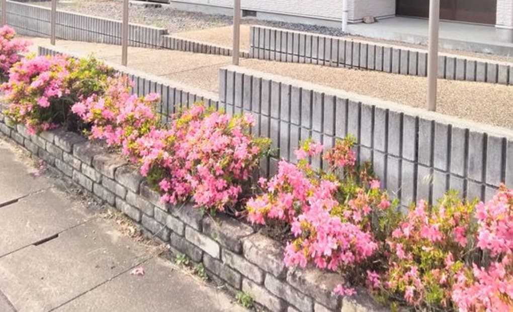 学研とよかわ教室の画像