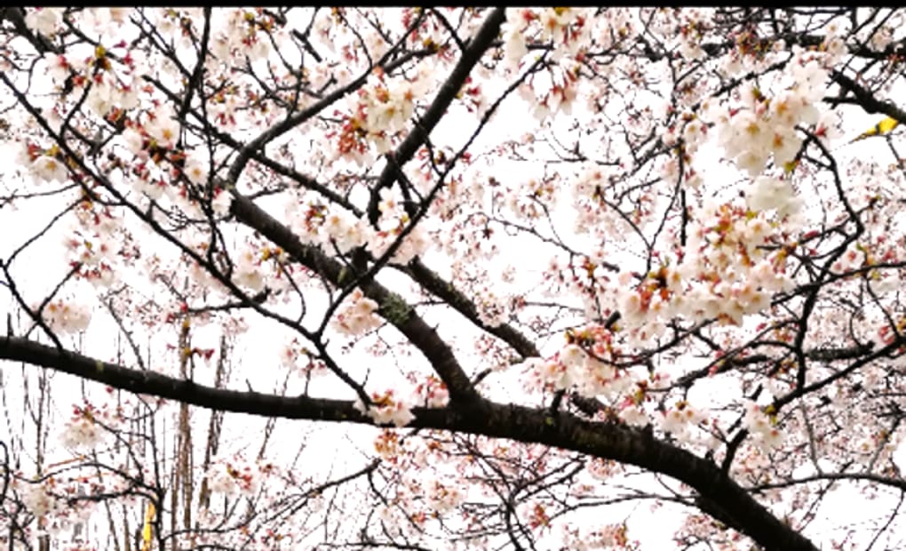 学研春日原教室の画像