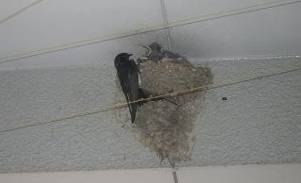 学研琴塚教室の画像