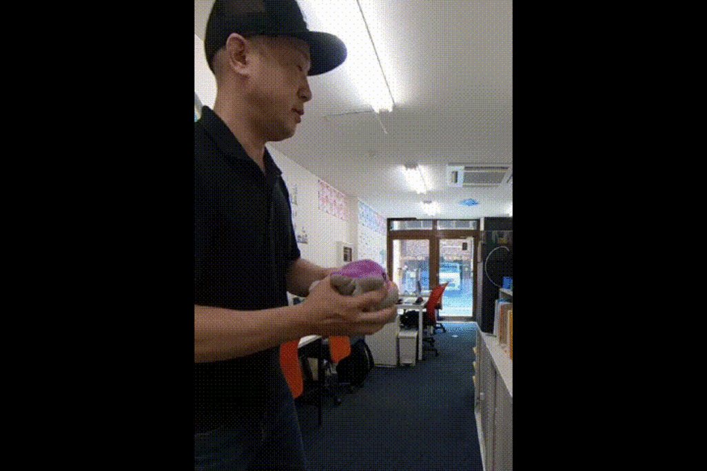 🎩CapCut(PC版)でつくる！トリック動画の簡単な作り方【初心者OK】