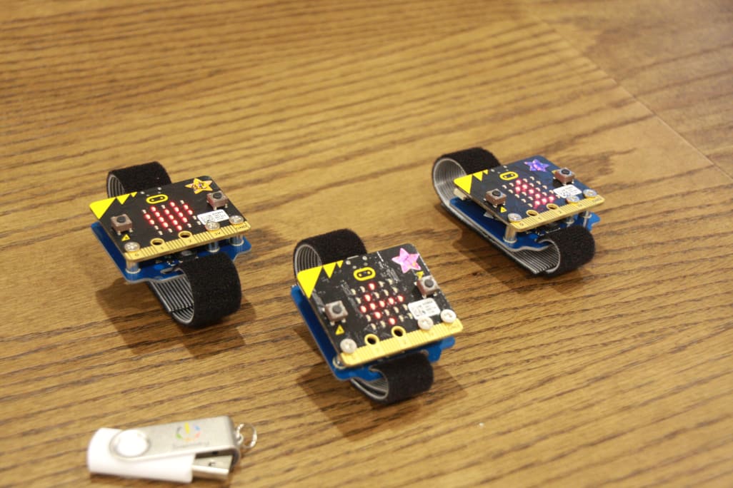 夏休み自由研究