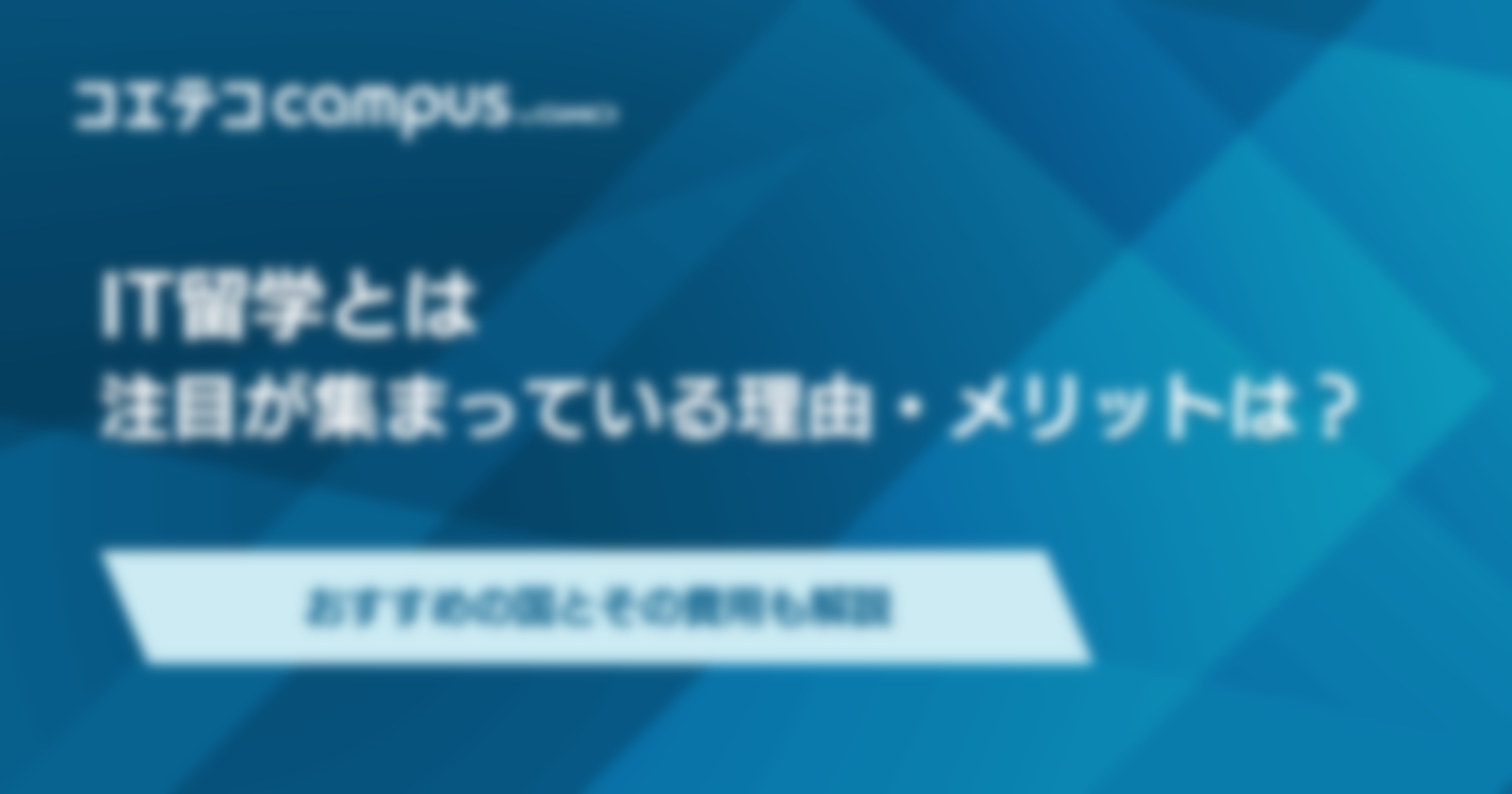 IT留学とは？意味ないのかおすすめの国と費用解説