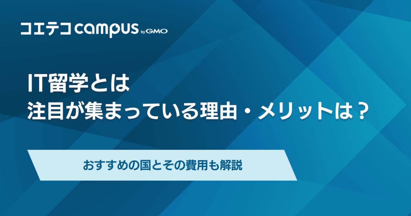 IT留学とは？意味ないのかおすすめの国と費用を徹底解説