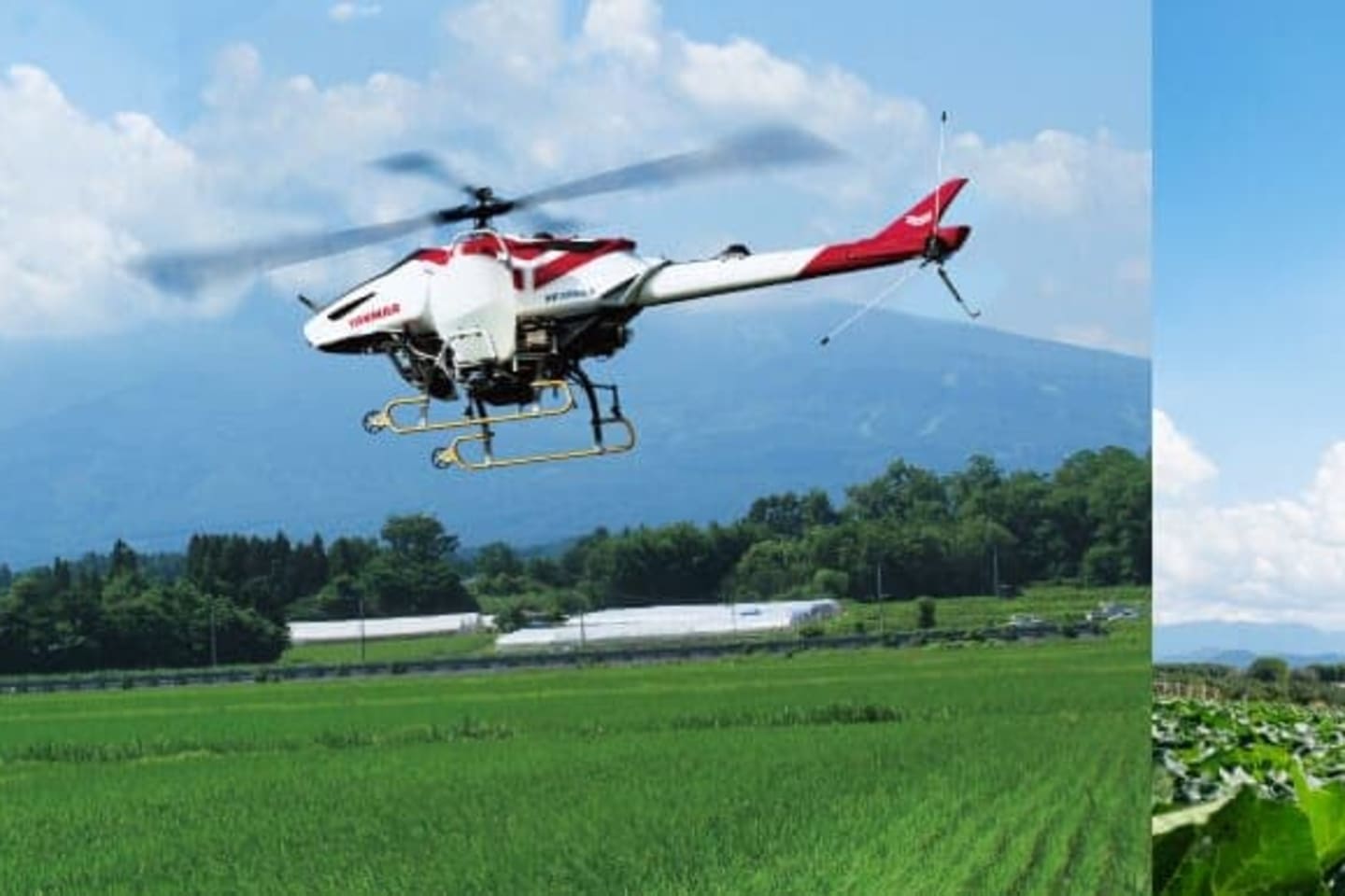 ヤンマースカイスクール関東