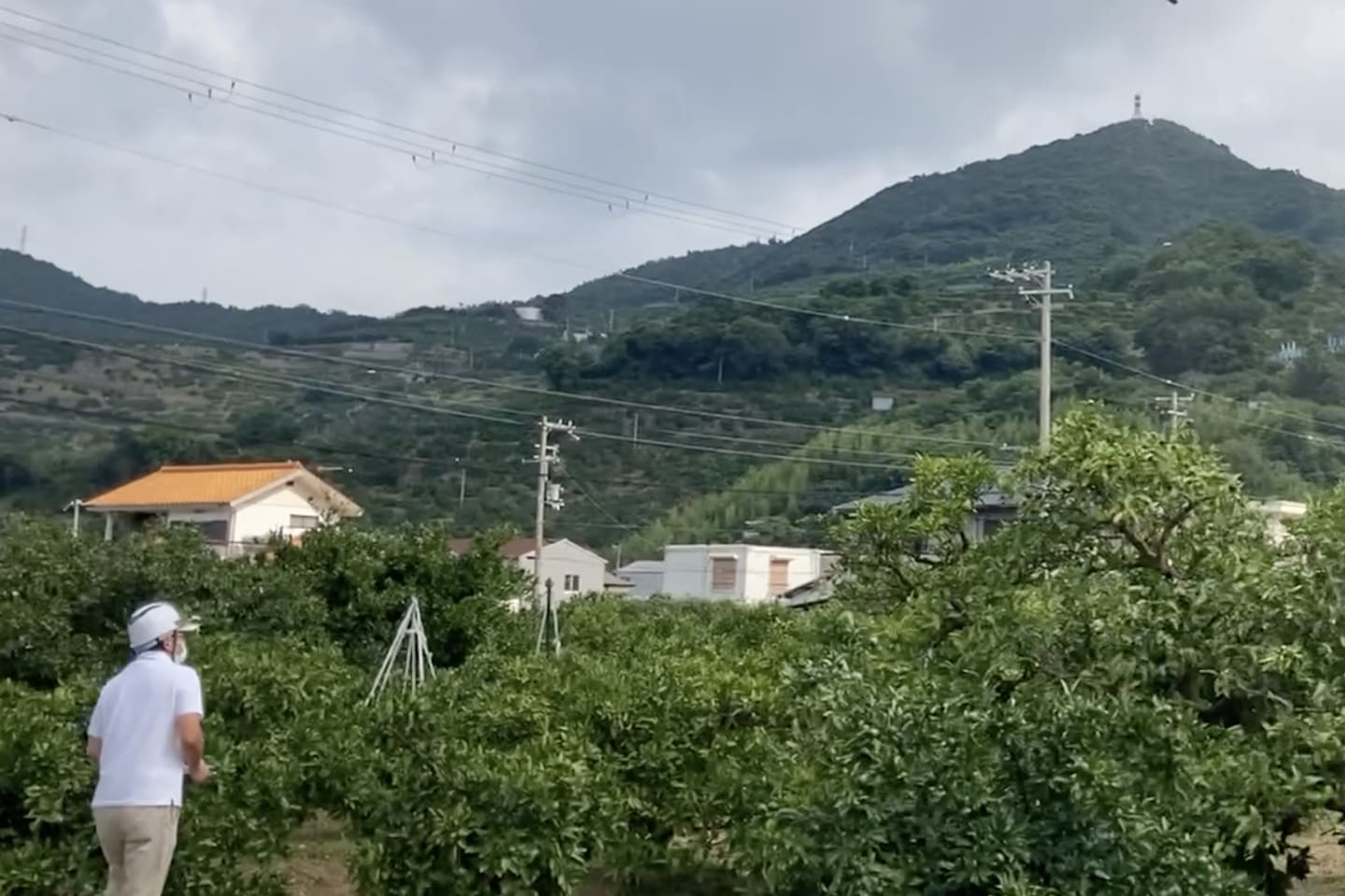 サカモトドローン