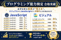 プログラミング能力検定・2026年3月までの実績です