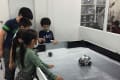 豊洲校は、ロボットを学ぶ部活がある中学校や、工業大学の近くにある為、理系の学びへの意欲が高い生徒が多く、楽しみながらもロボット製作とプログラミングに真剣に取り組んでいます。