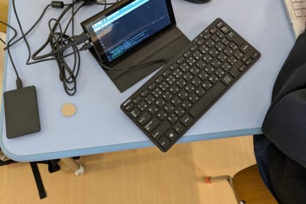 STEAM(開発、アーキテクト)