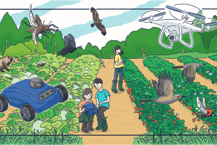 自然サバイバル挑戦プログラム（サバプロ）