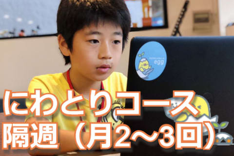 にわとり(上級)コース：隔週1回(月2～3回)のイメージ画像