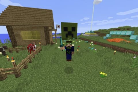 マイクラッチコースのイメージ画像