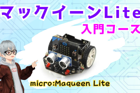 マックイーンLite入門コースのイメージ画像