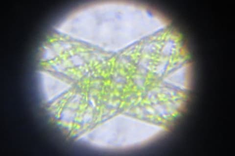 【理科実験教室】Standardのイメージ画像