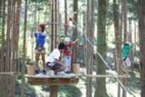 フォレストアドベンチャー・奥神鍋 | フォレストアドベンチャー