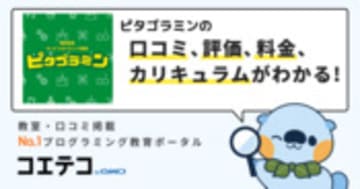 ピタゴラミンの口コミ・評判・料金