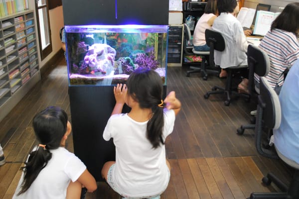 ニモもいるよ。