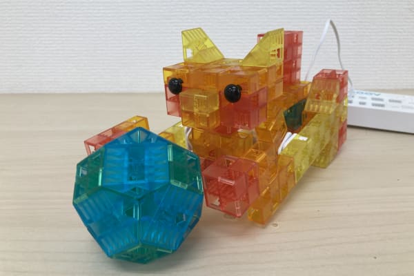 教材：ボールであそぶネコ