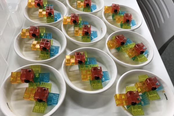 保護者様にも体験会で作品を作ってもらいます♪