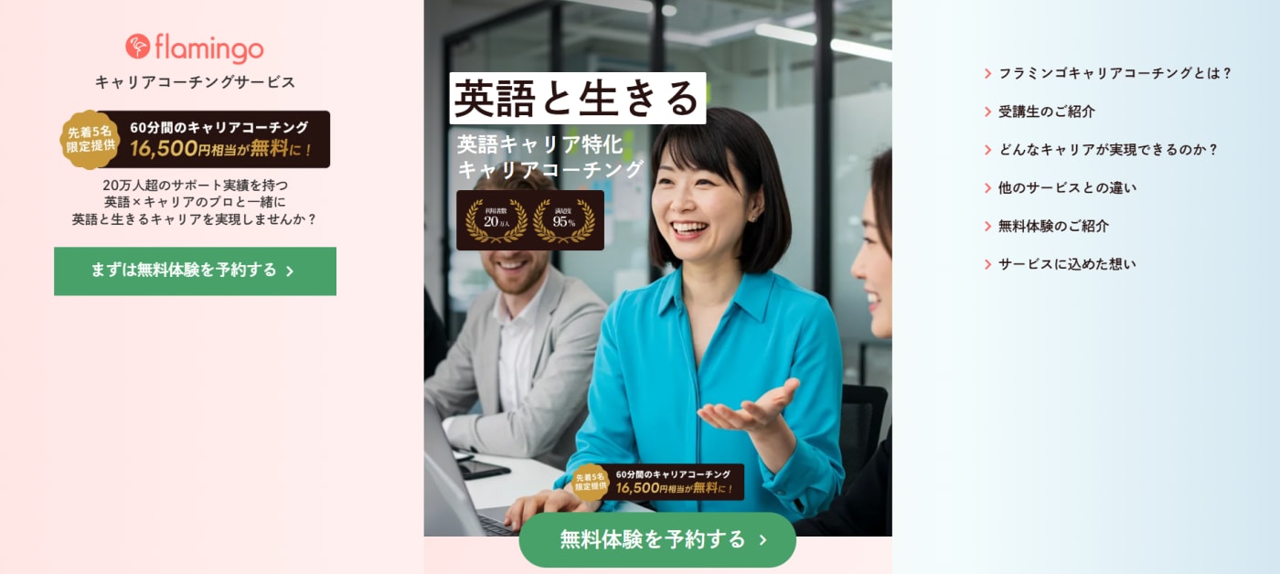 フラミンゴキャリアコーチング