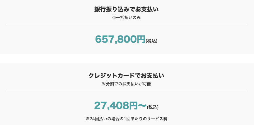 テックアイエス 料金