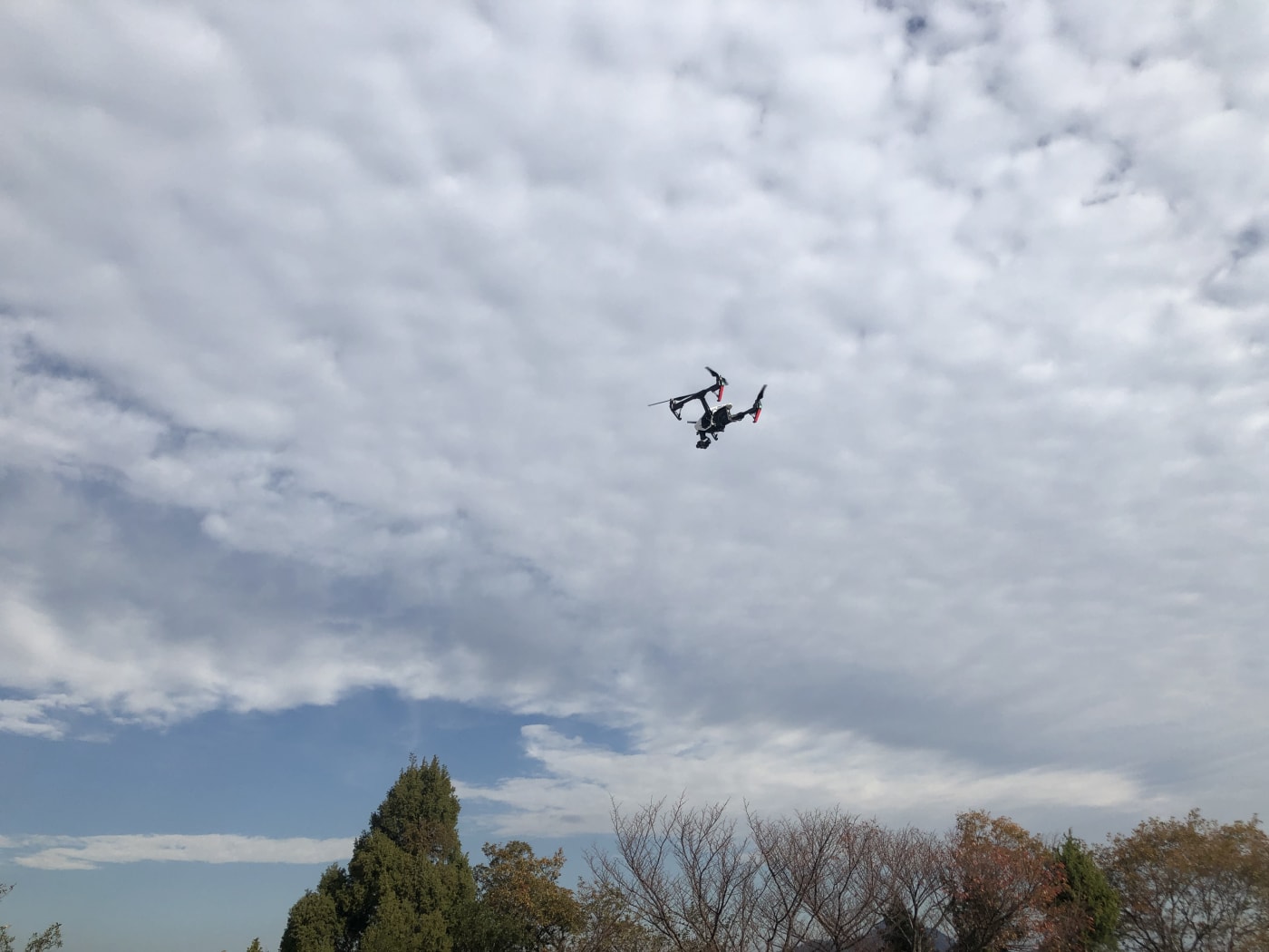 ドローン　調査診断