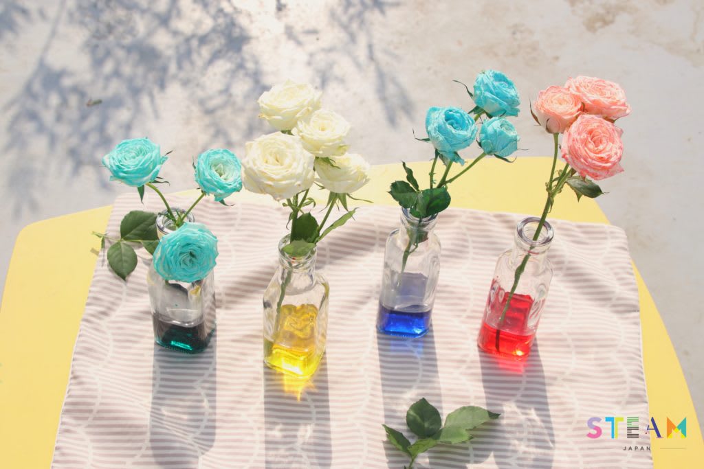 花びらが色水を吸って色づいている様子。