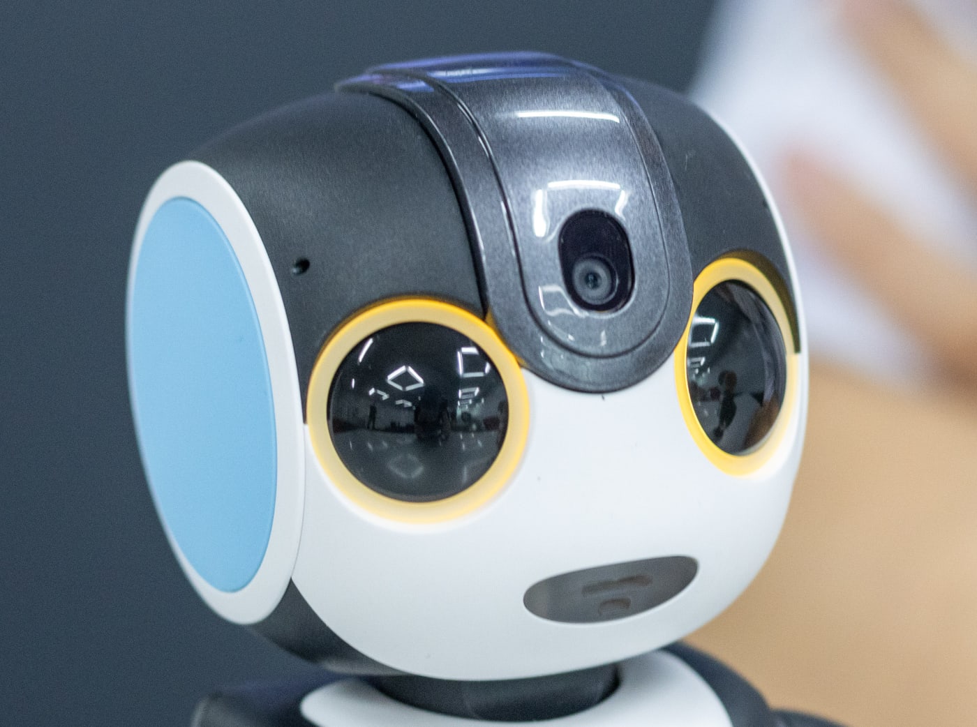 RoBoHoNに弟ロボ登場！シャープが描く人とロボットの未来とは