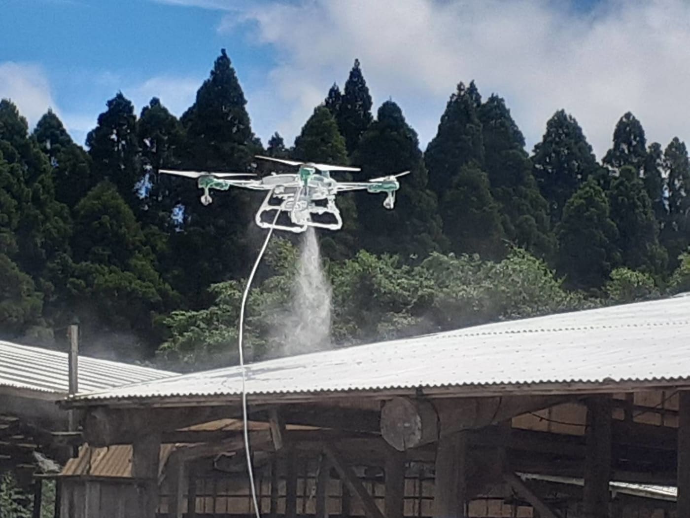 畜産現場の暑さ対策として消石灰をドローン散布する様子