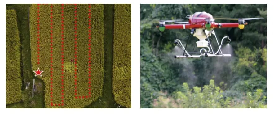 和歌山で農薬散布を学べるドローンスクールは?エス・ティー・ワールド