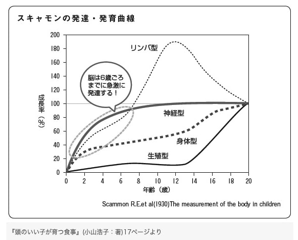 子ども 脳 発達