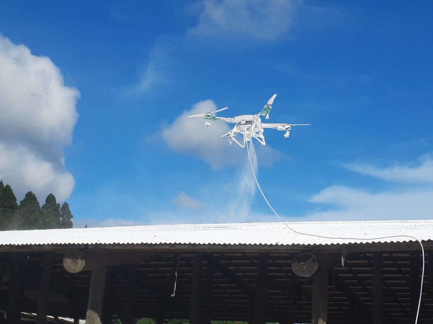 畜産現場の暑さ対策として消石灰をドローン散布する様子