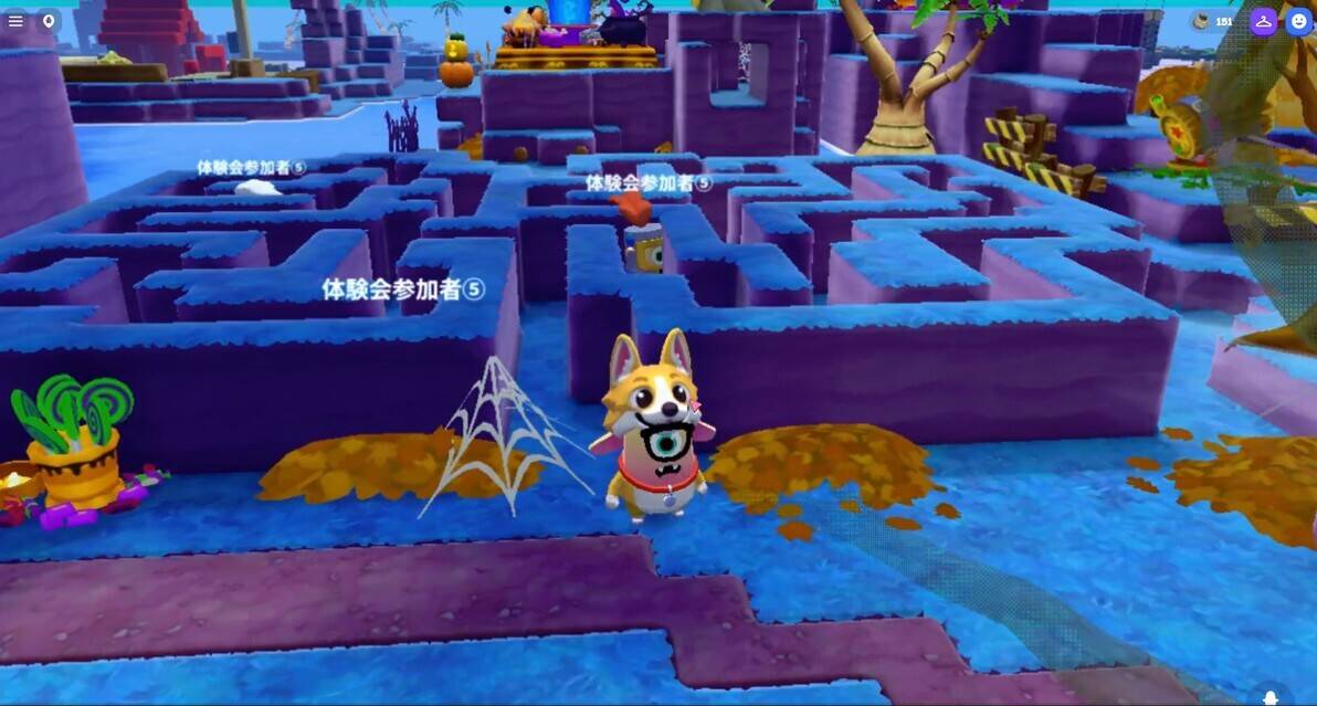 Meta Nexusで遊べるドージョー・アイランド