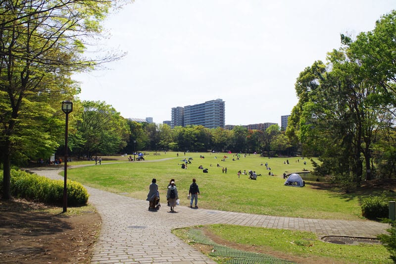 地域住民の憩いの場「多摩中央公園」
