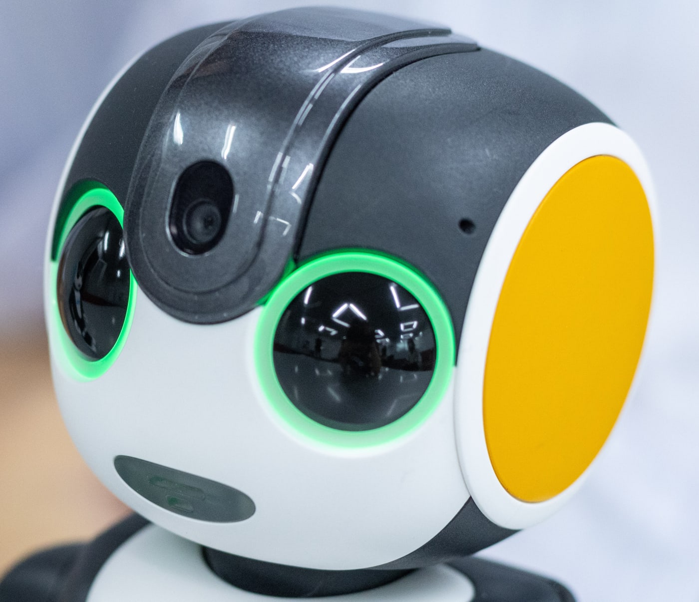 RoBoHoNに弟ロボ登場！シャープが描く人とロボットの未来とは
