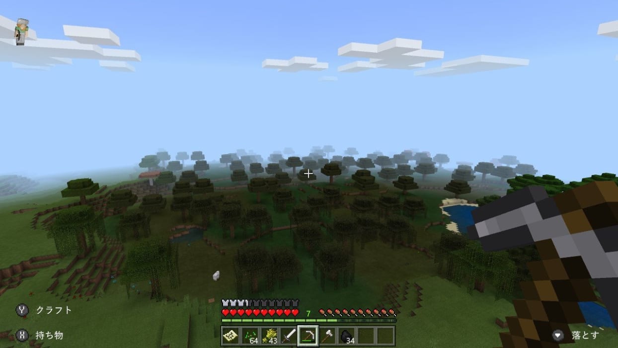 森の中にいる人がいるminecraftのスクリーンショット