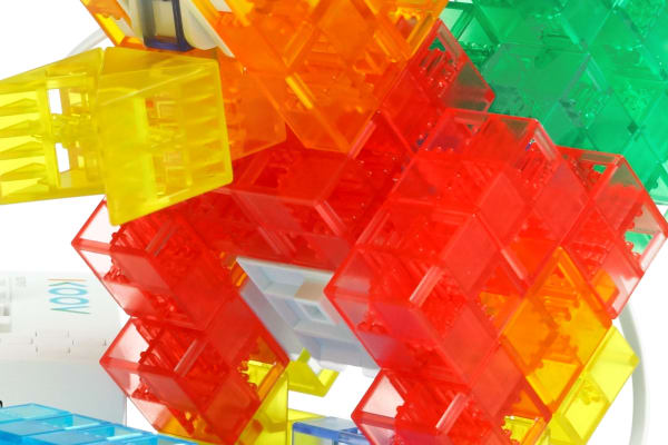 このリスはどんな動きをするでしょう？