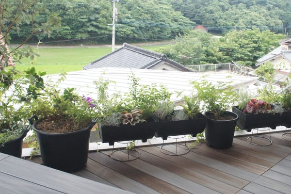 ニリエテラス二階