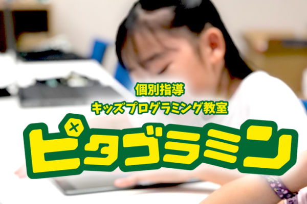 ピタゴラミン_学習風景