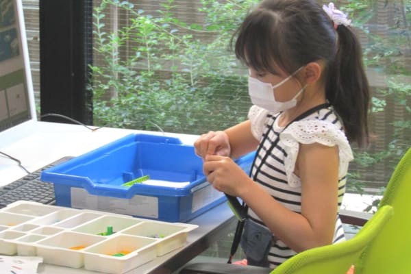 プログラミングの基本を知り、世の中でどのように使われているかを学びます