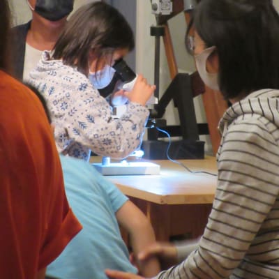 IMG_3394 - コピー