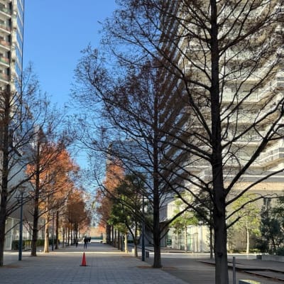 教室前は気持ちの良い歩行者ストリートとなっています。