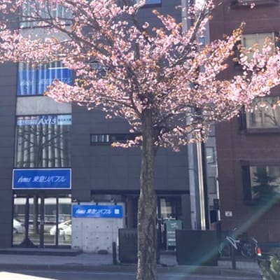 個別指導円山校です。3階にあります。