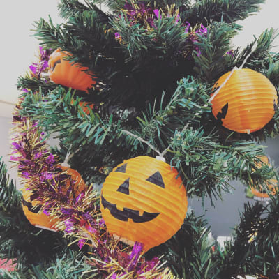 C6D868A2-75B8-4682-9867-9ECFB138222F