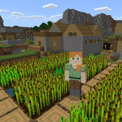 プログラミングでMinecraftの世界を楽します！