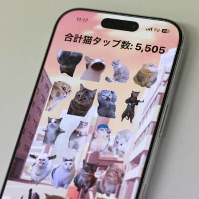 講師作のネコミームアプリ