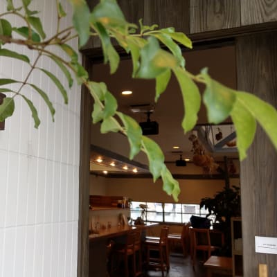 入り口の写真です。