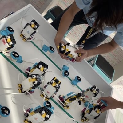 ペンギン大量発生！