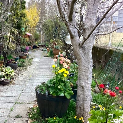 教室までの小道です。ここを抜けると教室があります。